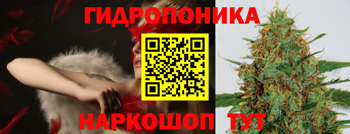 Бошки Шишки MAZAR Новосибирск